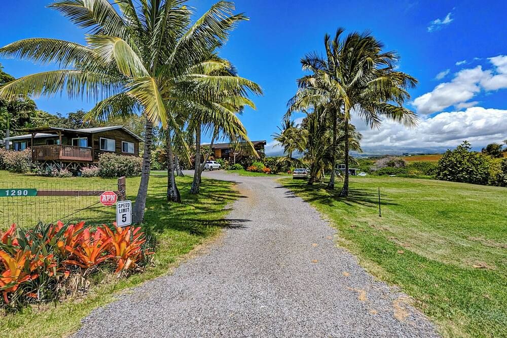 God's Peace of Maui - Makawao - Outdoors view