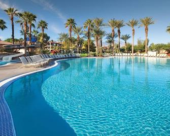 Marriott's Shadow Ridge I - The Villages - Palm Desert - Pool