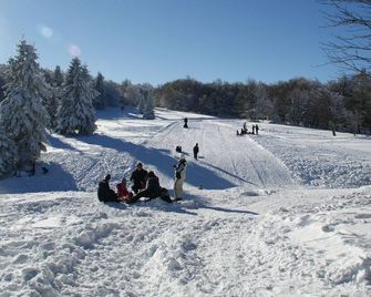 Chalet Loma, spacious log chalet, at the foot of the Vosges Massif - Vagney - Prestation de l’hébergement