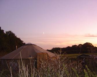 'Beech' Yurt in West Sussex countryside - Haslemere - Venkovní prostory