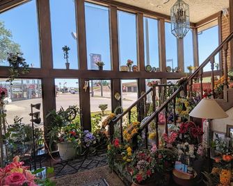 Edelweiss Inn New Braunfels - ניו בראונפלז - דלפק קבלה