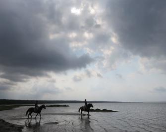 We Bushcamp And Horse Safaris - Hluhluwe