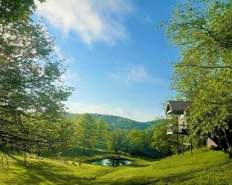 The \'Hang-over\' Winery Treehouse - Weston