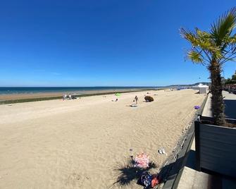 Les Pins Penchés - Villers-sur-Mer - Plage