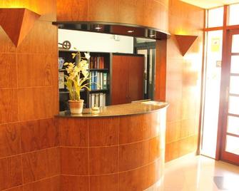 Hotel Sabiote - Pineda de Mar - Vastaanotto