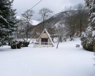 Quiet Mountain Chalet. Hiking, 1/4h From Skiing, 200m From The Village - Sainte-Marie-de-Campan
