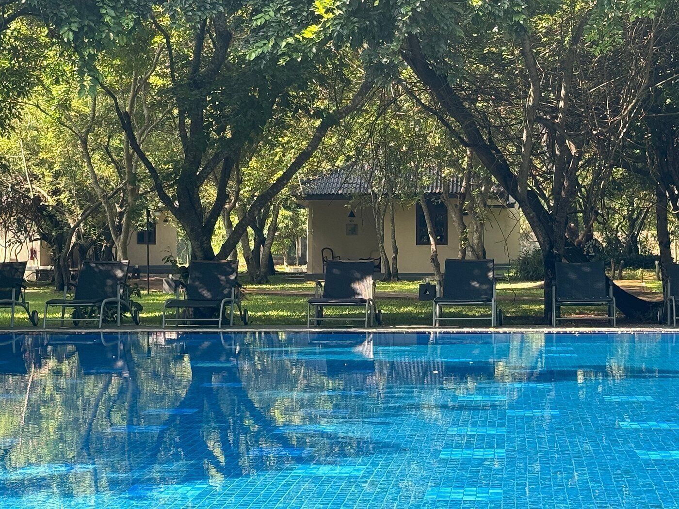 كاسابا ليونز روك