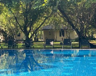 Kassapa Lions Rock - Dambulla - Basen