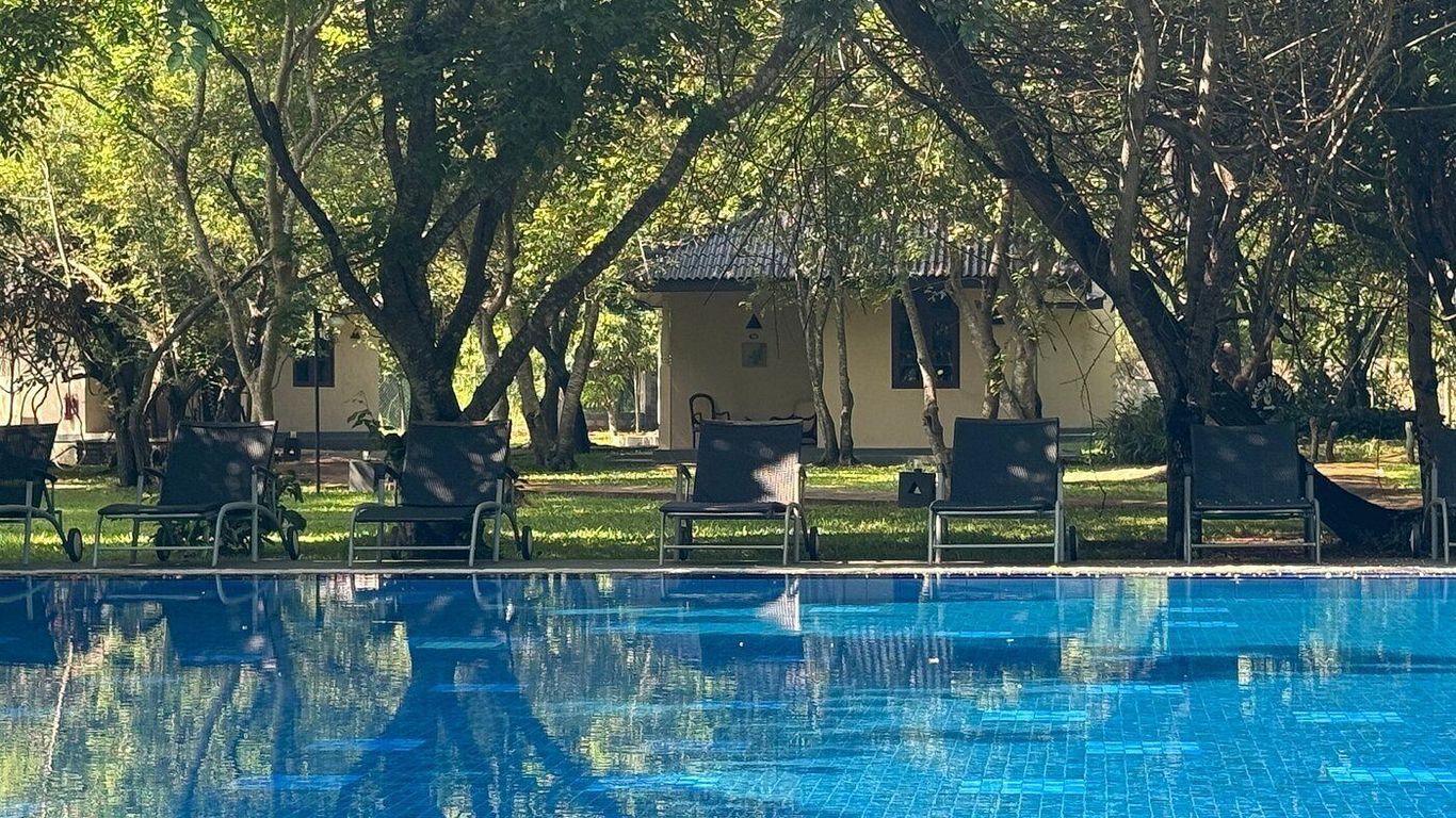 كاسابا ليونز روك