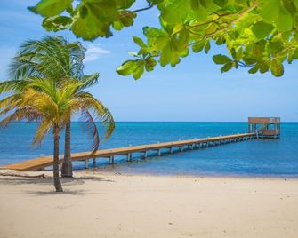 Lawson Rock - Yellowfish 211 2 Bedroom Condo by RedAwning - Coxen Hole - Beach