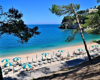 Hotel degli Ulivi - Vieste - Beach