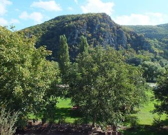 Double room, balcony, Moselle view - Hotel Moselkern - Moselkern - Venkovní prostory