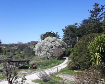 Lovely apartment with terrace, secure and surrounded by a large garden. - Bracciano - Outdoors view