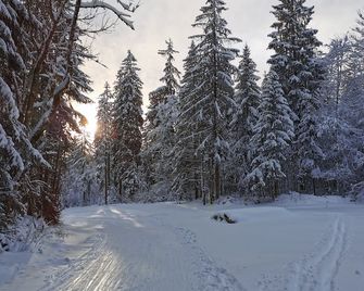 Cosy chalet in the Haut Jura, 2 minutes from the slopes and the GTJ - Foncine-le-Haut - Prestation de l’hébergement