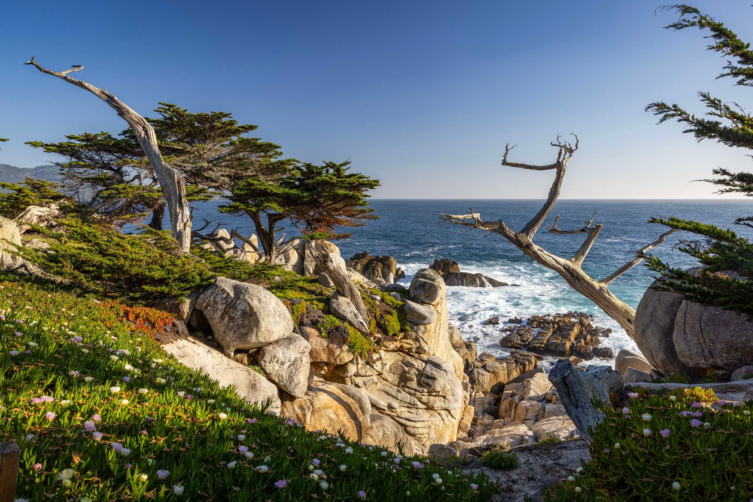 Beach view of Home2 Suites by Hilton at the Dunes on Monterey Bay