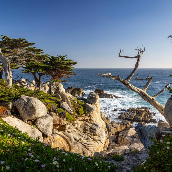 Beach view of Home2 Suites by Hilton at the Dunes on Monterey Bay