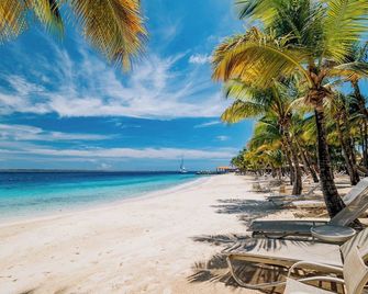 Harbour Village Beach Club - Kralendijk - Strand