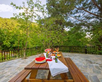 Amazing Villa in Pano Platres Cyprus - Platres - Balcony