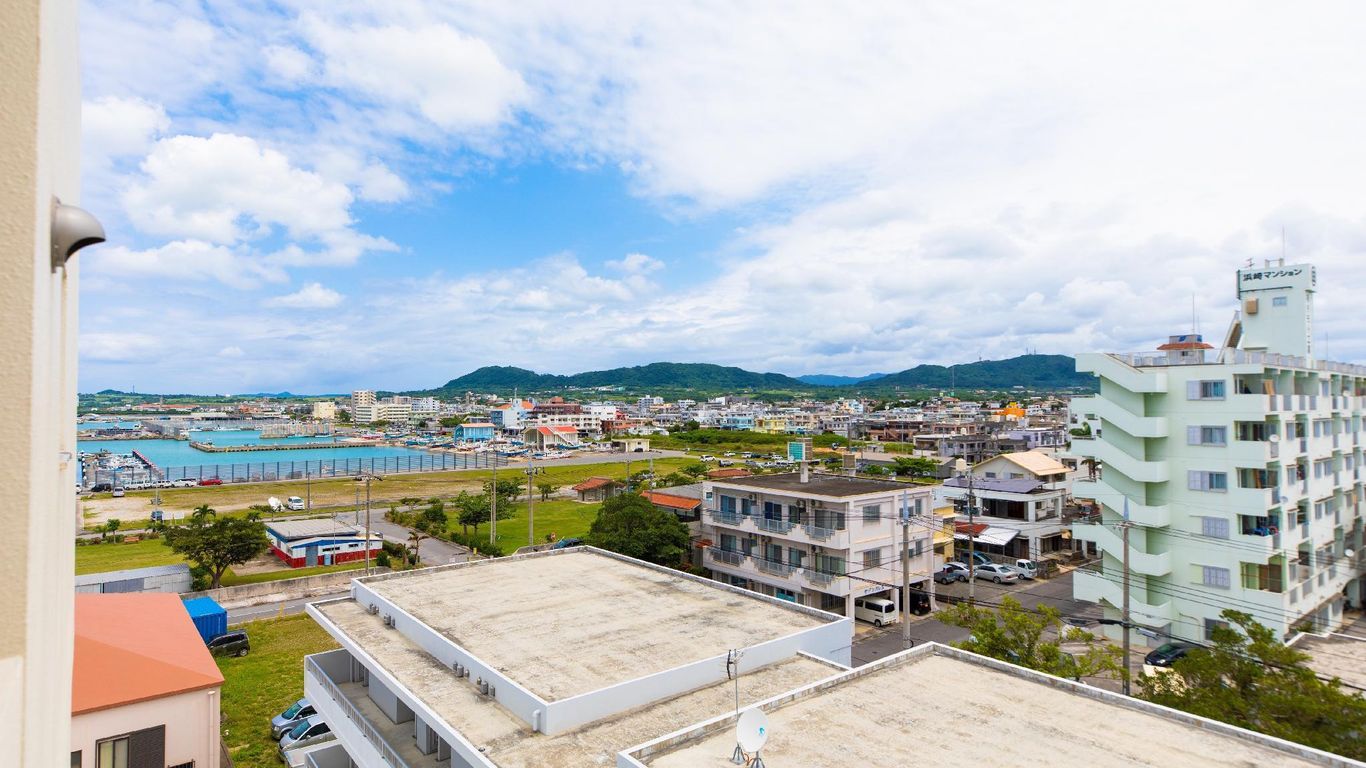 Mr.kinjo Golden Cats