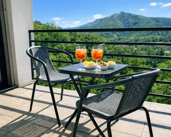 Hotel Nessi Locarno - Locarno - Balcón