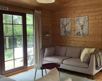 Fantastisch chalet met veel ruimte en fijne tuin - Epe - Living room
