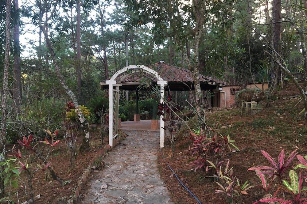 Beautiful house and a nice terrace in a forest - San Ignacio - Vista del exterior