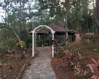 Beautiful house and a nice terrace in a forest - San Ignacio - Vista del exterior