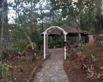 Beautiful house and a nice terrace in a forest - San Ignacio - Vista del exterior
