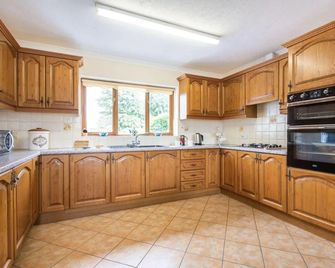 Bryn Llan - Bala - Kitchen