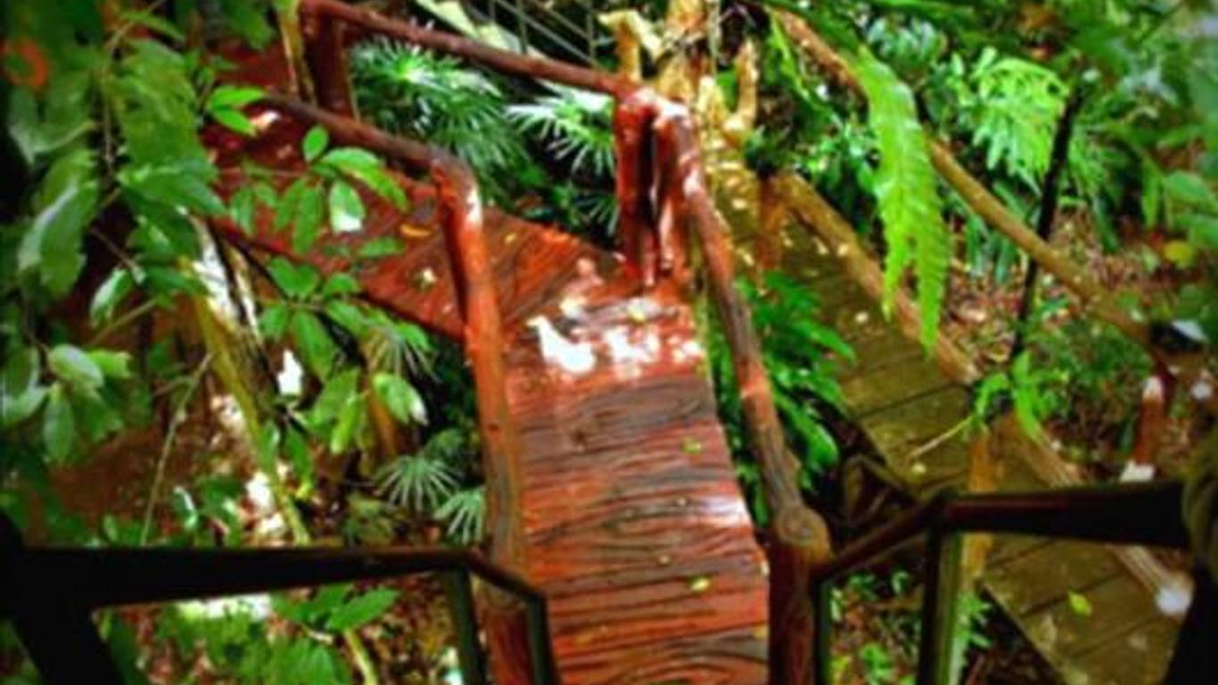 Khao Sok Tree House Resort