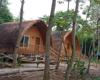 Merostay 006 Nepal Himalayan Paulownia Resort - Meghauli - Vista del exterior