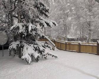 Raspberry Retreat - Recently remodeled apartment in a quiet neighborhood - Anchorage