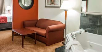 Comfort Suites near Indianapolis Airport - Indianapolis