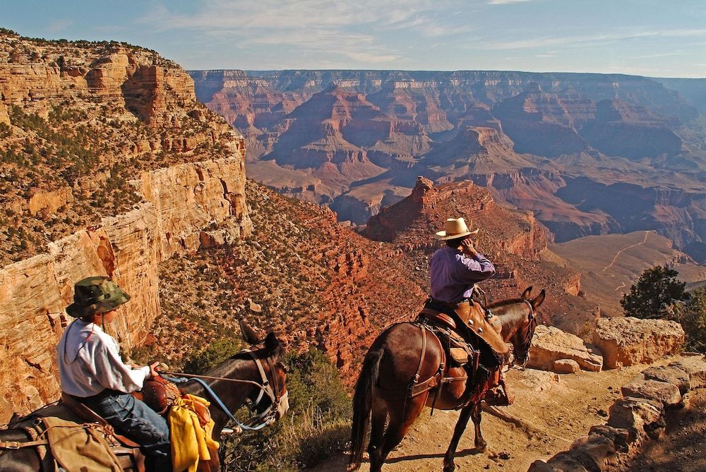 كاتشينا لودج - داخل الحديقة - Grand Canyon Village