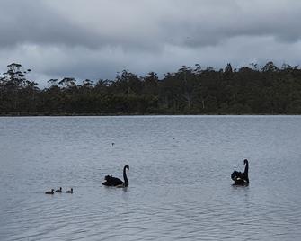 Lake Yalleena Nature Retreat - Lake Leake - Edificio