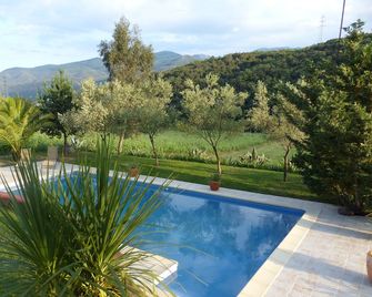 Studio 2 people in the countryside with direct access to the pool and garden. - Ceret - Zwembad
