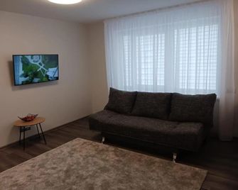 Barona apartement - Jelgava - Living room