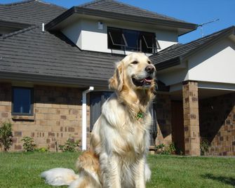 Ohuka Place Homestay - Whitianga