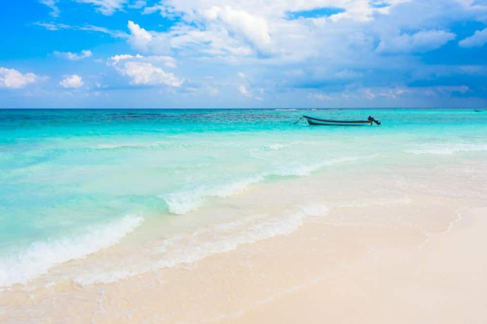 3B Wellness Hotel & Hostel Adults Only - פלאיה דל כרמן - חוף