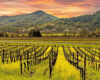 Sonoma Vista Dreams - Sonoma - Outdoors view