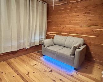 The Cabins at Angel Springs - Songbird - Georgetown - Living room