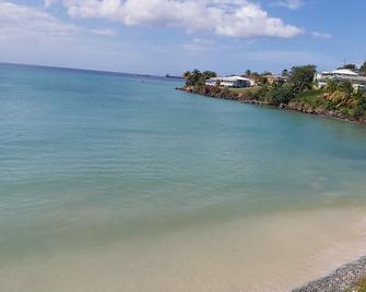 Grand Anse Beach Palace - Saint George's - Playa