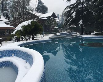 Apple Valley Resort - Kullu - Pool