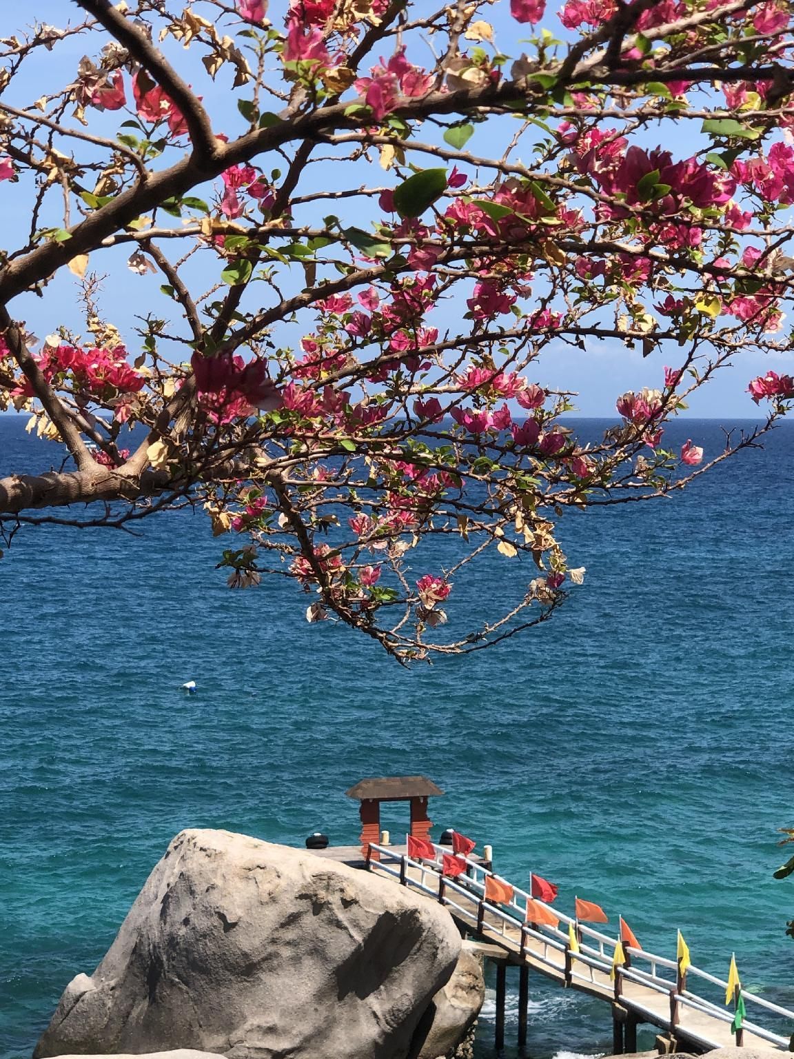 Koh Tao Hillside Resort - קו טאו - מסעדה