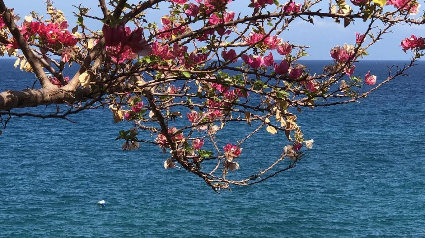 Koh Tao Hillside Resort