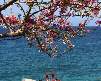 Koh Tao Hillside Resort - קו טאו - מסעדה