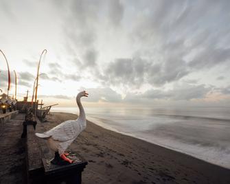 Desa Swan Villas & Spa, Keramas - Gianyar - Пляж
