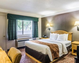 Quality Inn - Buffalo - Slaapkamer