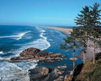 Visit the beautiful Leadbetter Point State Park & Wildlife Refuge! - Ocean Park - Playa