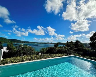 Fabulous Ocean View Villa With Pool - Falmouth - Pool